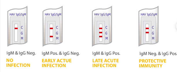 cách đọc kết quả test nhanh hav igg/igm