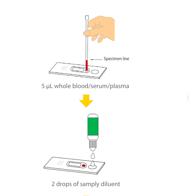 hướng dẫn dử dụng test nhanh hav