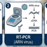 Phương Pháp Xét Nghiệm PCR Trong Xét Nghiệm Vi Sinh Vật