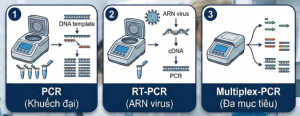xet-nghiem-pcr