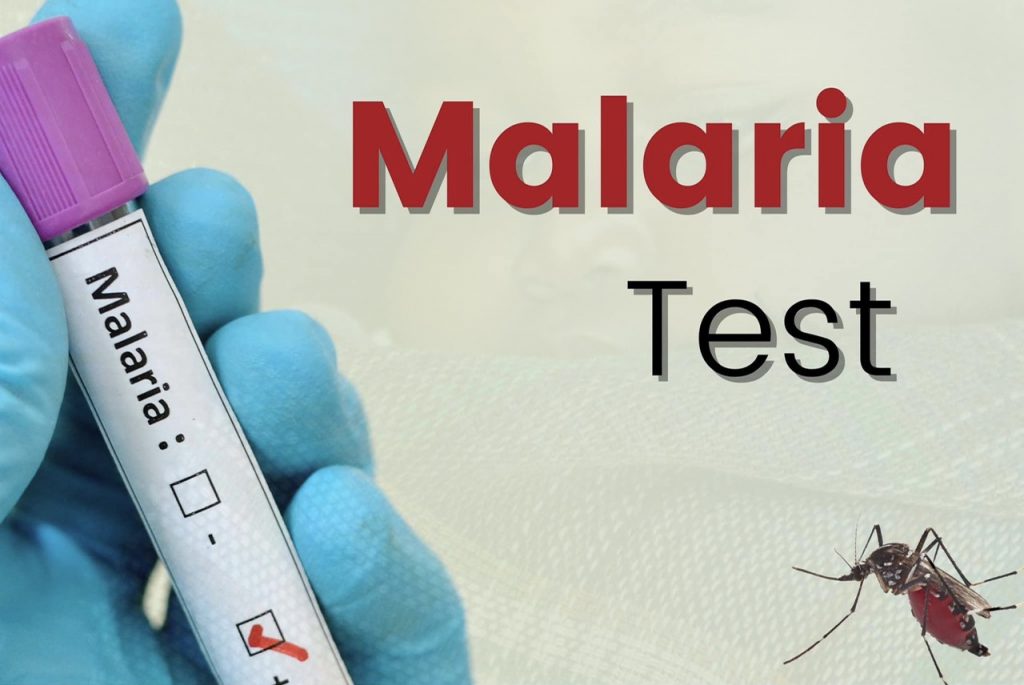 malaria-test 4
