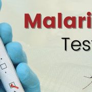 malaria-test 4