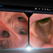 Screen Shot 2026-09-20 at 11.24.33